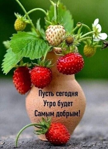 Открытка доброе утро