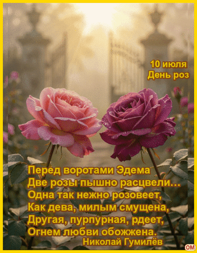 Анимированная открытка День роз 3