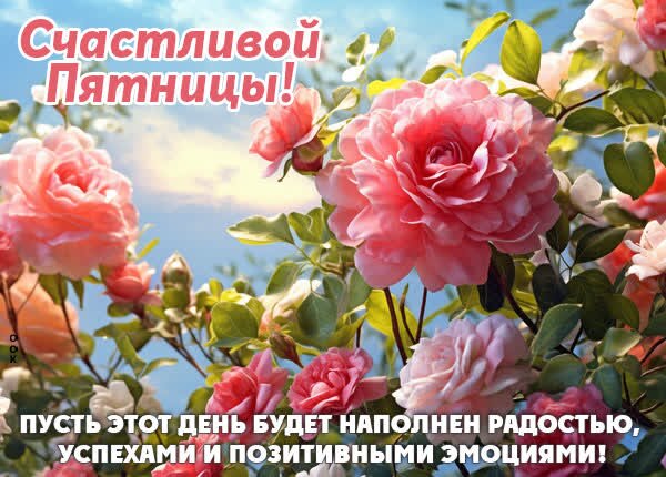 Открытка Пятница