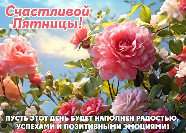 Открытка пятницы