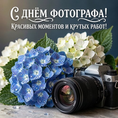 Открытка С днём фотографа