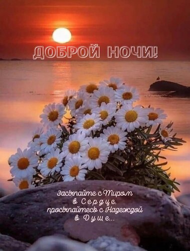 Открытка Засыпайте с миром в сердце, просыпайтесь с надеждой в душе...