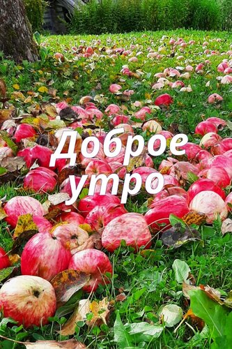 Открытка с добрым утром