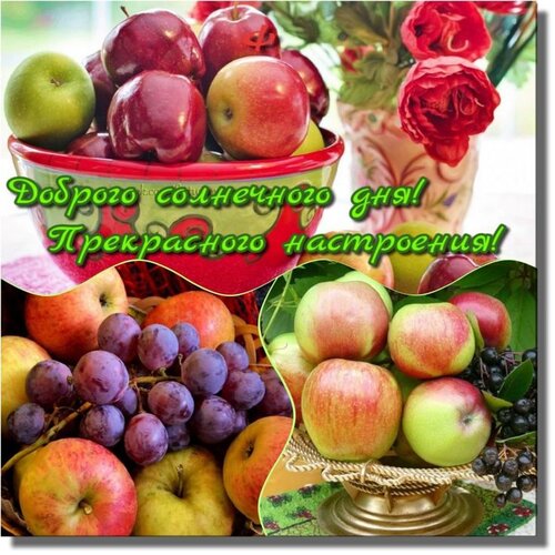 Открытка Солнечного дня