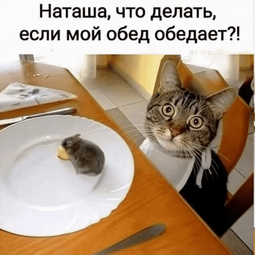 Открытка Наташа, что делать, если мой обед обедает?