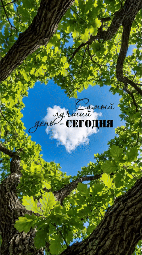 Анимированная открытка Самый лучший день - сегодня!