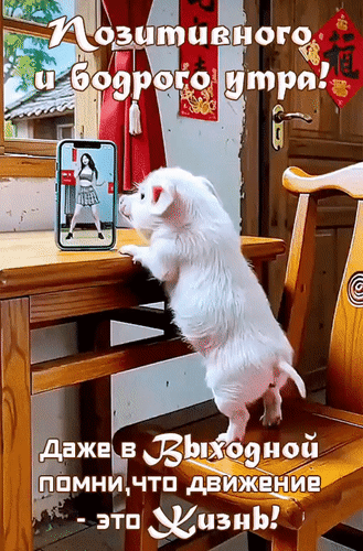 Анимированная открытка Позитивного и бодрого утра! Даже в выходной помни, что движение - это жизнь!