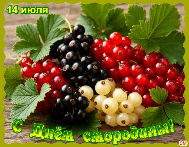 Открытка День смородины 