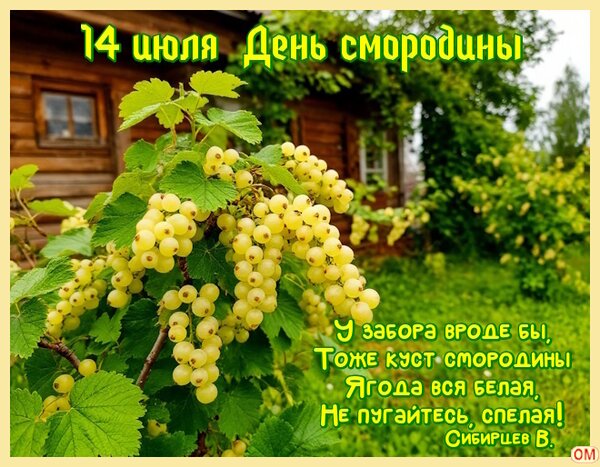 Открытка День смородины 