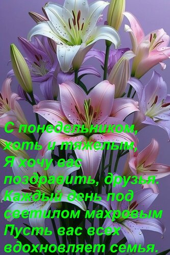Открытка С понедельником, хоть и тяжелым, Я хочу вас поздравить, друзья. Каждый день под светилом махровым Пу