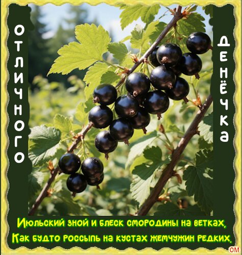 Открытка Смородина 