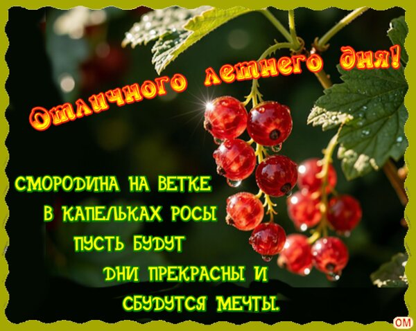 Открытка Отличного летнего дня