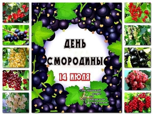Открытка день смородины