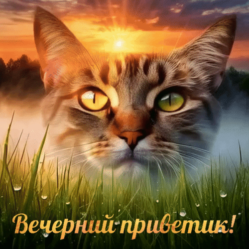 Анимированная открытка Вечерний приветик!