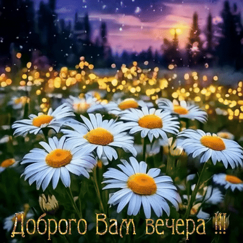 Анимированная открытка Доброго Вам вечера!!!
