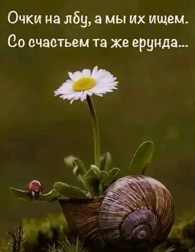 Анимированная открытка ПРО СЧАСТЬЕ