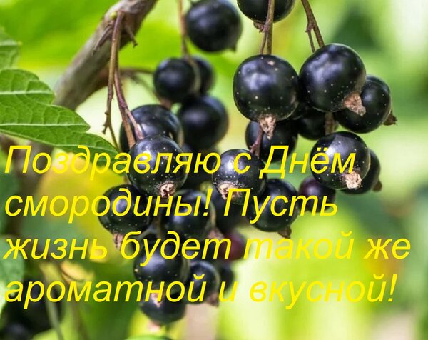Открытка Поздравляю с Днём смородины! Пусть жизнь будет такой же ароматной и вкусной!