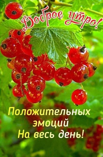 Открытка доброе утро