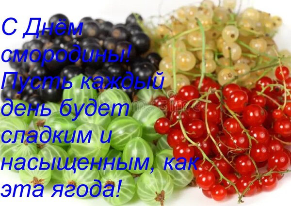 Открытка С днём смородины! Пусть каждый день будет сладким и насыщенным, как эта ягода!