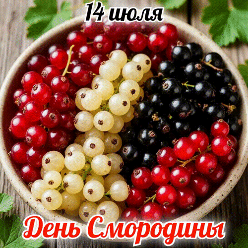 Анимированная открытка ДЕНЬ СМОРОДИНЫ
