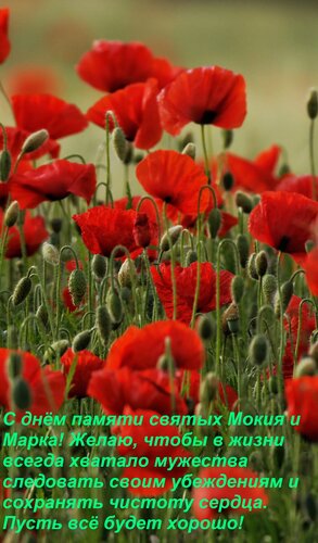 Открытка С днём памяти святых Мокия и Марка! Желаю, чтобы в жизни всегда хватало мужества следовать своим убе
