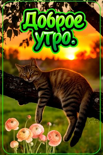 Открытка Доброе утро