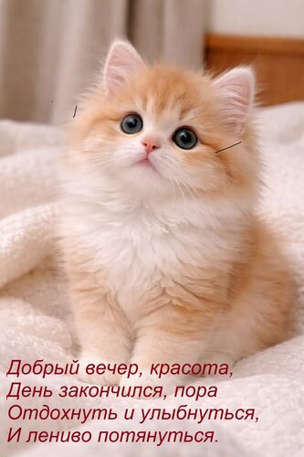 Открытка Добрый вечер, красота, День закончился, пора Отдохнуть и улыбнуться, И лениво потянуться.