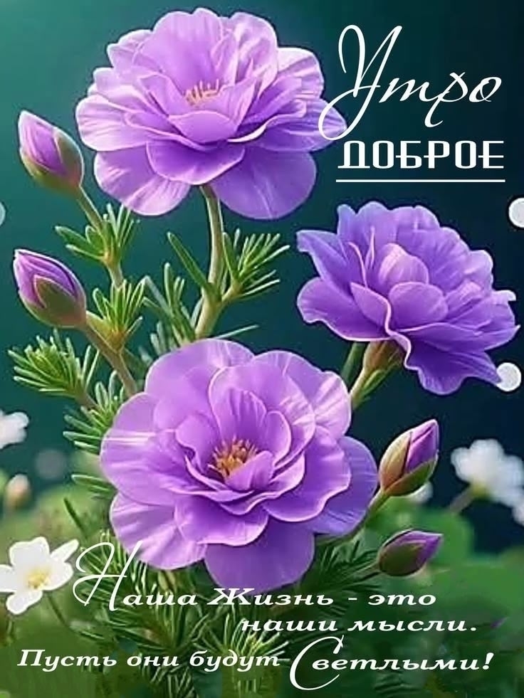 Открытка утро доброе