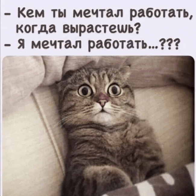 Анимированная открытка - Кем ты мечтал работать, когда вырастешь? - Я мечтал работать...???