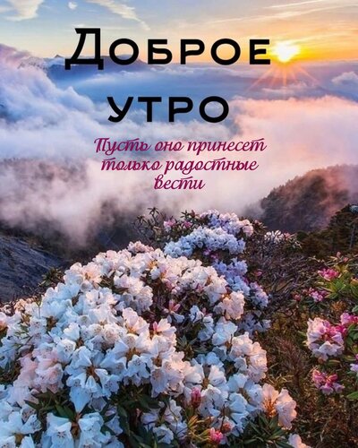 Открытка Пусть оно принесет только добрые вести