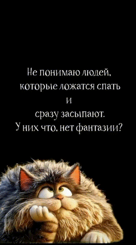 Анимированная открытка Не понимаю людей, которые ложатся спать и сразу засыпают. У них что, нет фантазии?