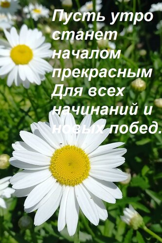 Открытка Пусть утро станет началом прекрасным Для всех начинаний и новых побед.