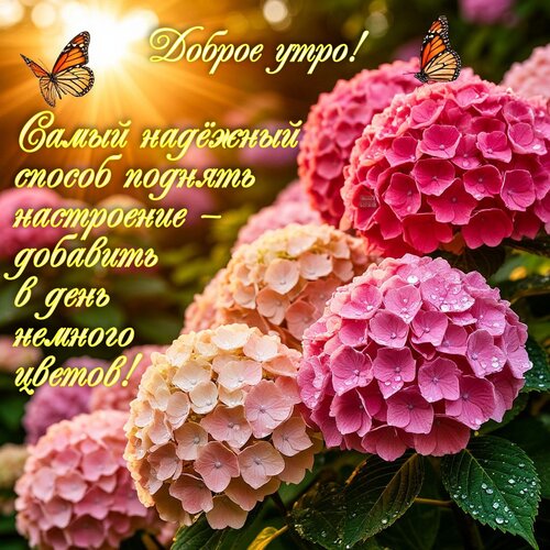 Открытка Доброе утро!