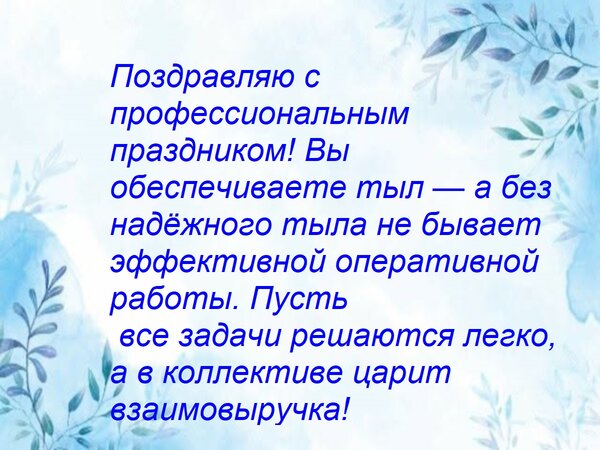 Открытка Поздравляю с профессиональным праздником! Вы обеспечиваете тыл — а без надёжного тыла не бывает эффе