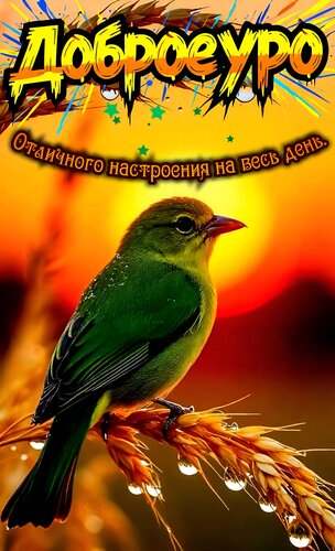 Открытка Доброе утро. Отличного настроения на весь день