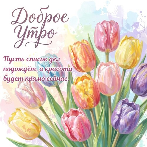 Открытка Доброе утро! Пусть список дел подождёт, а красота будет прямо сейчас.
