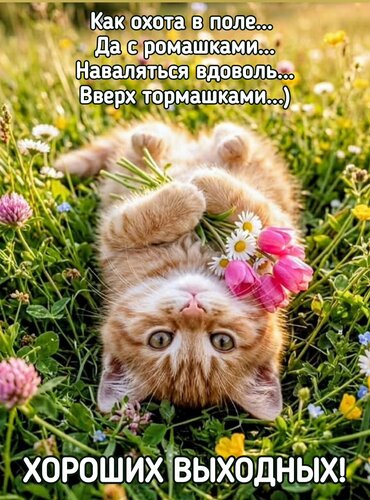 Открытка Хороших выходных
