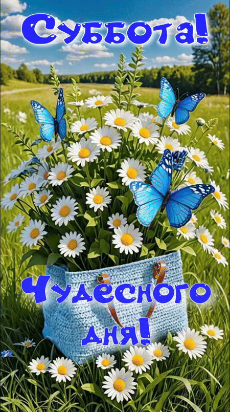 Анимированная открытка Суббота! Чудесного дня!