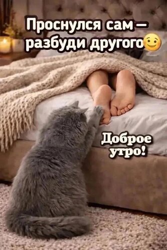 Открытка Доброе утро