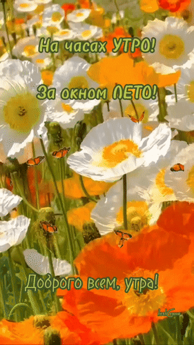 Анимированная открытка На часах утро! За окном лето! Доброго всем, утра!