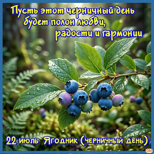 Открытка черничный день 4