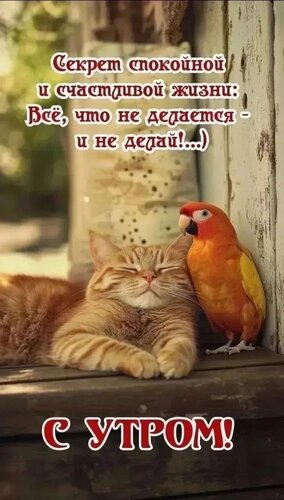 Открытка С утром