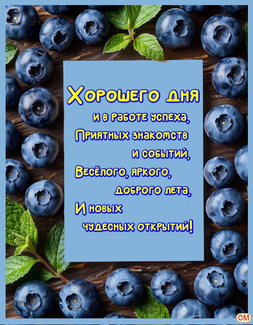 Открытка черника 3