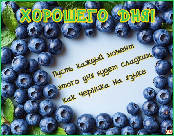 Открытка черника 1