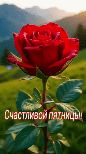 Анимированная открытка Счастливой пятницы!