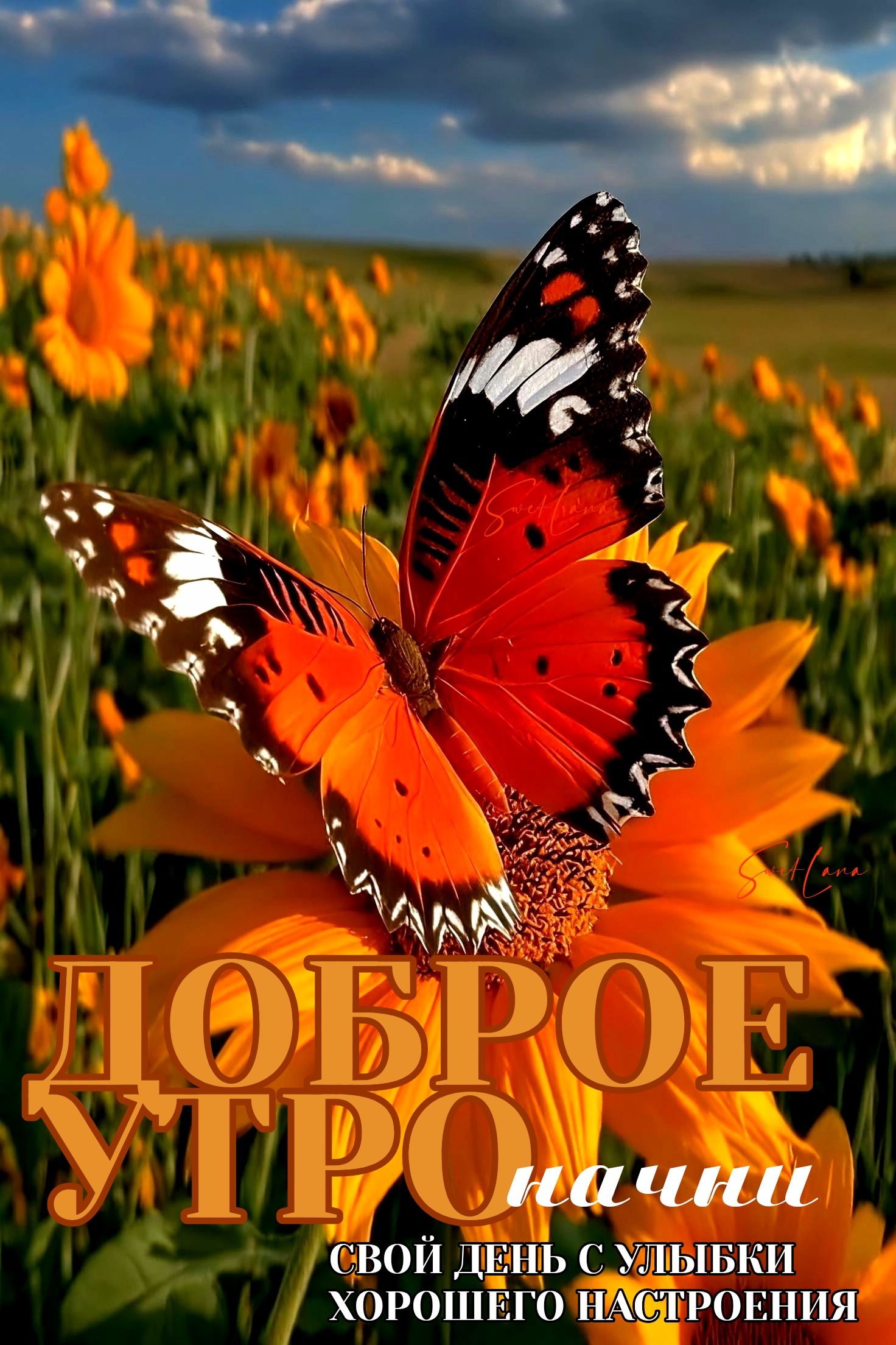 Открытка Доброе утро