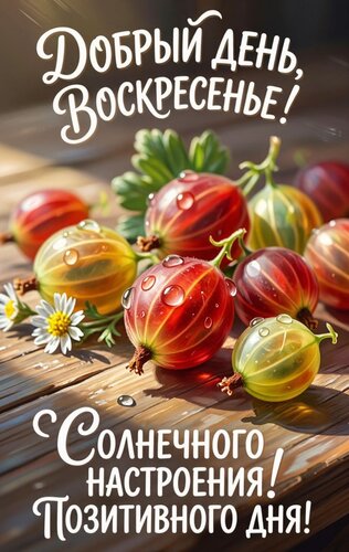 Открытка Доброго воскресного дня