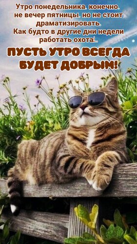 Открытка Пусть утро всегда будет добрым!