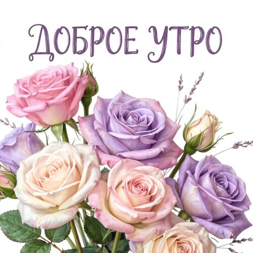 Открытка Доброе утро