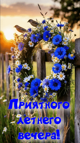Анимированная открытка Приятного летнего вечера!